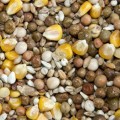 BA All Rounder Mix